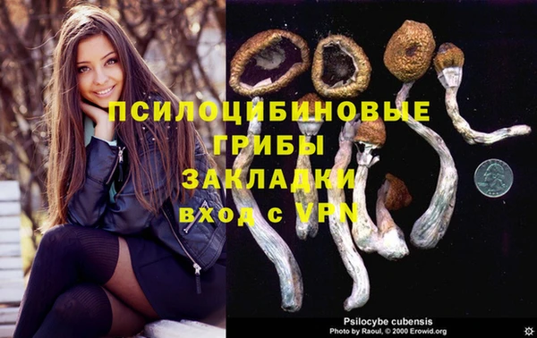 героин Алзамай